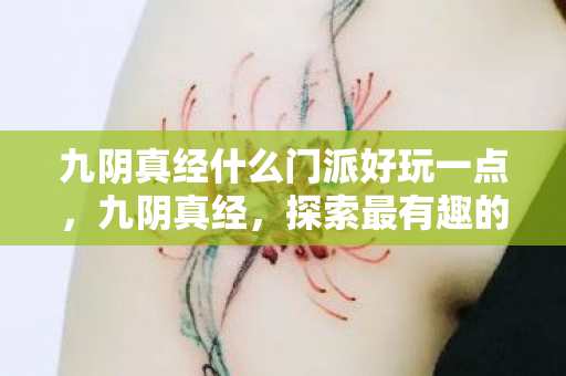九阴真经什么门派好玩一点，九阴真经，探索最有趣的门派
