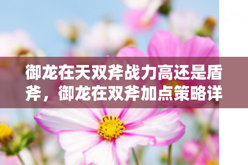 御龙在天双斧战力高还是盾斧，御龙在双斧加点策略详解