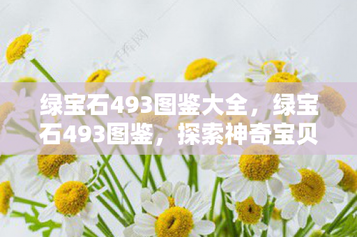 绿宝石493图鉴大全，绿宝石493图鉴，探索神奇宝贝的奇幻世界