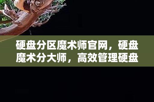 硬盘分区魔术师官网，硬盘魔术分大师，高效管理硬盘空间的利器