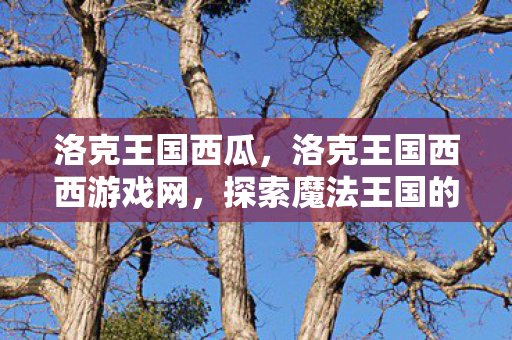 洛克王国西瓜，洛克王国西西游戏网，探索魔法王国的奇妙之旅