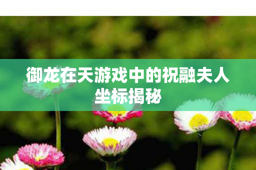 御龙在天游戏中的祝融夫人坐标揭秘