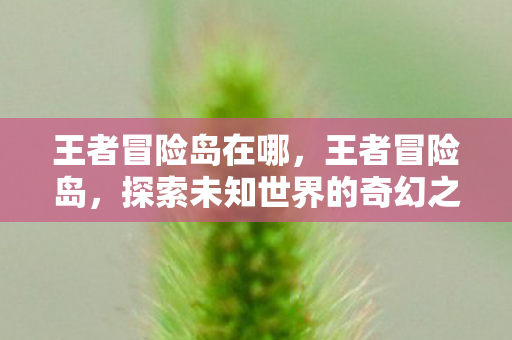 王者冒险岛在哪,王者冒险岛,探索未知世界的奇幻之旅 王者冒险岛在哪,王者冒险岛,探索未知世界的奇幻之旅