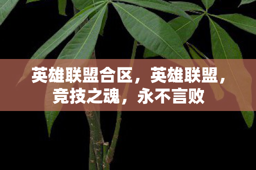 英雄联盟合区，英雄联盟，竞技之魂，永不言败