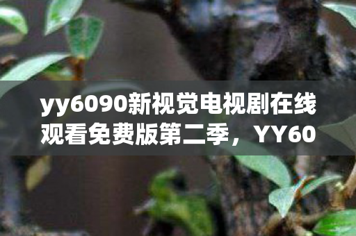 yy6090新视觉电视剧在线观看免费版第二季，YY6090新视觉，探索高清影视的无限可能