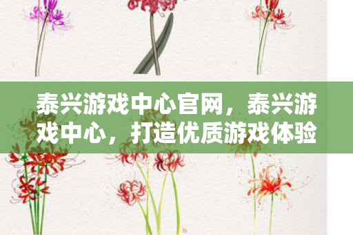 泰兴游戏中心官网，泰兴游戏中心，打造优质游戏体验的殿堂