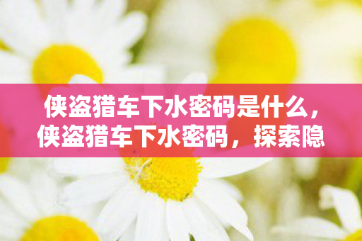 侠盗猎车下水密码是什么，侠盗猎车下水密码，探索隐藏的乐趣与冒险