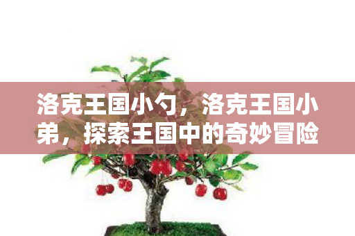 洛克王国小勺，洛克王国小弟，探索王国中的奇妙冒险