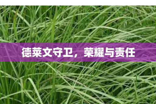 德莱文守卫，荣耀与责任