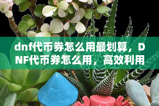 dnf代币券怎么用最划算，DNF代币券怎么用，高效利用，打造顶级装备