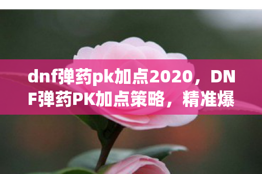 dnf弹药pk加点2020，DNF弹药PK加点策略，精准爆发，掌控战局