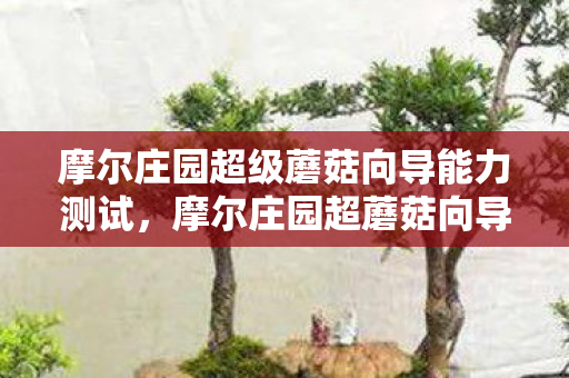 摩尔庄园超级蘑菇向导能力测试，摩尔庄园超蘑菇向导，探索神秘蘑菇王国的奇妙之旅