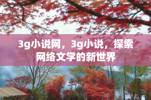 3g小说网，3g小说，探索网络文学的新世界