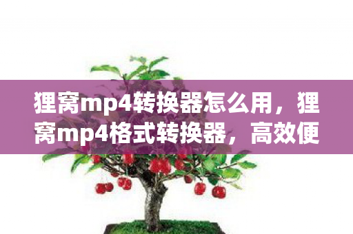 狸窝mp4转换器怎么用，狸窝mp4格式转换器，高效便捷的视频格式转换工具