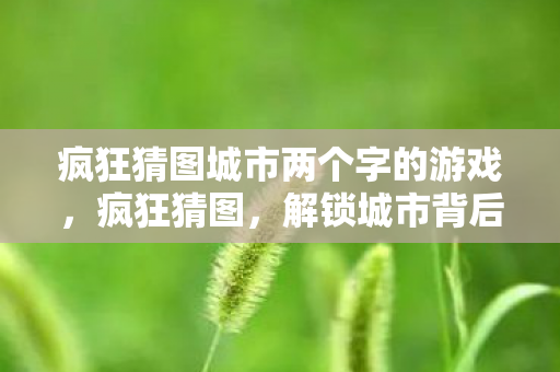 疯狂猜图城市两个字的游戏，疯狂猜图，解锁城市背后的神秘面纱