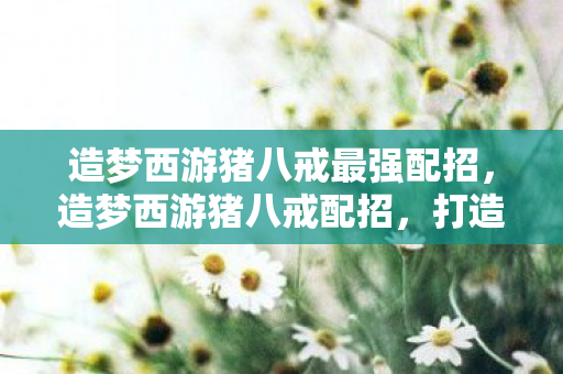 造梦西游猪八戒最强配招，造梦西游猪八戒配招，打造最强战斗组合
