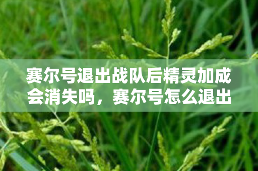 赛尔号退出战队后精灵加成会消失吗，赛尔号怎么退出战队