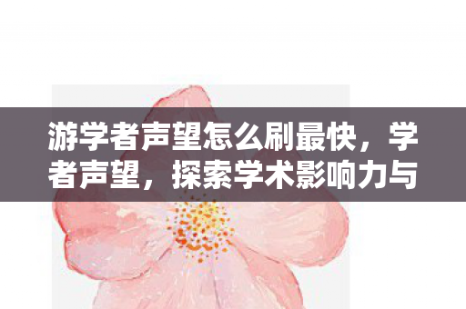 游学者声望怎么刷最快，学者声望，探索学术影响力与公众认知的桥梁