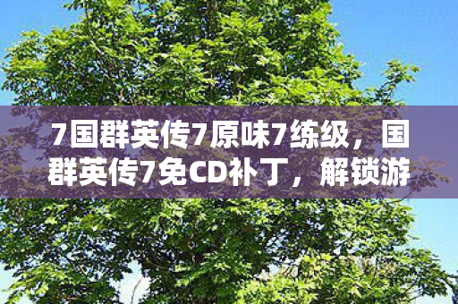 7国群英传7原味7练级，国群英传7免CD补丁，解锁游戏新体验