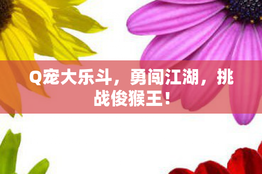 Q宠大乐斗，勇闯江湖，挑战俊猴王！