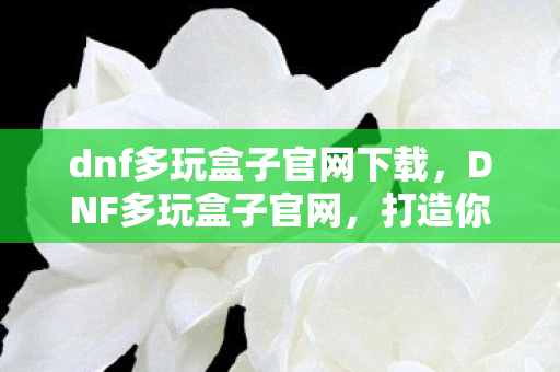 dnf多玩盒子官网下载，DNF多玩盒子官网，打造你的专属游戏乐园