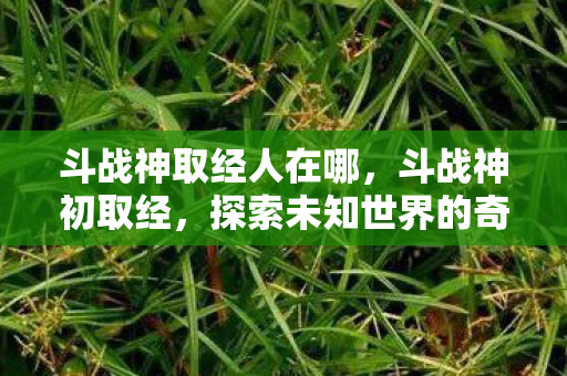 斗战神取经人在哪，斗战神初取经，探索未知世界的奇妙旅程