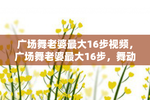 广场舞老婆最大16步视频，广场舞老婆最大16步，舞动生活的快乐旋律