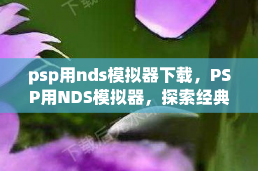 psp用nds模拟器下载，PSP用NDS模拟器，探索经典游戏的数字重生