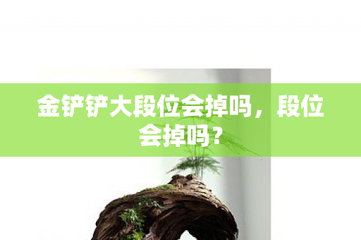 金铲铲大段位会掉吗，段位会掉吗？