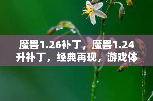 魔兽1.26补丁，魔兽1.24升补丁，经典再现，游戏体验再升级
