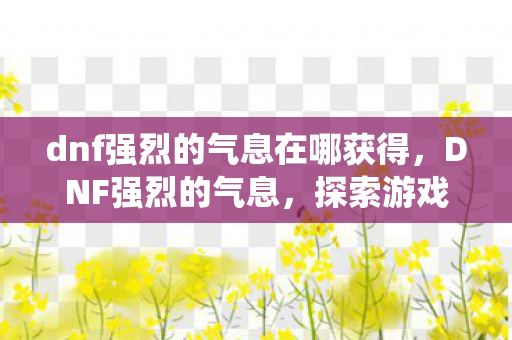 dnf强烈的气息在哪获得，DNF强烈的气息，探索游戏内经济系统的奥秘