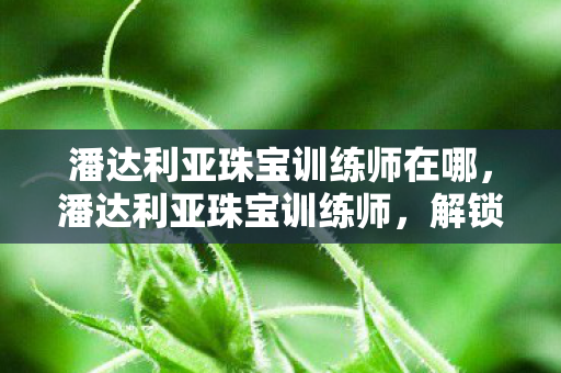 潘达利亚珠宝训练师在哪，潘达利亚珠宝训练师，解锁宝石技艺的奥秘