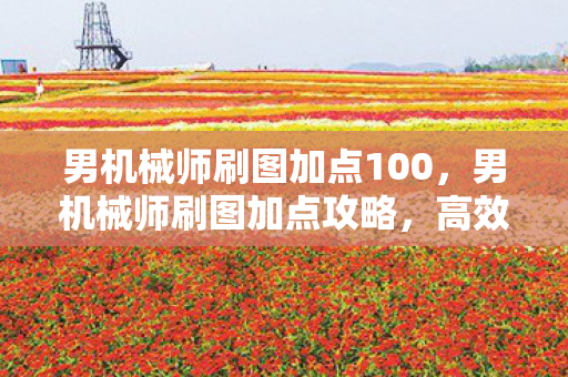 男机械师刷图加点100，男机械师刷图加点攻略，高效输出与生存平衡