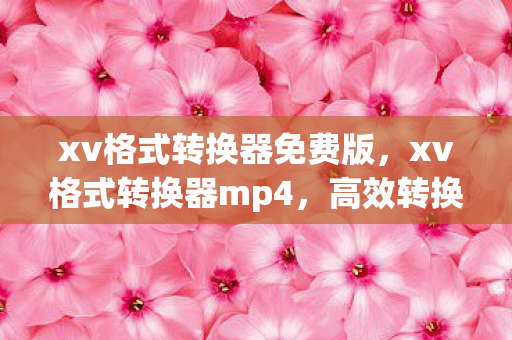 xv格式转换器免费版，xv格式转换器mp4，高效转换，尽享高清视频体验