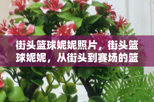 街头篮球妮妮照片，街头篮球妮妮，从街头到赛场的篮球精灵