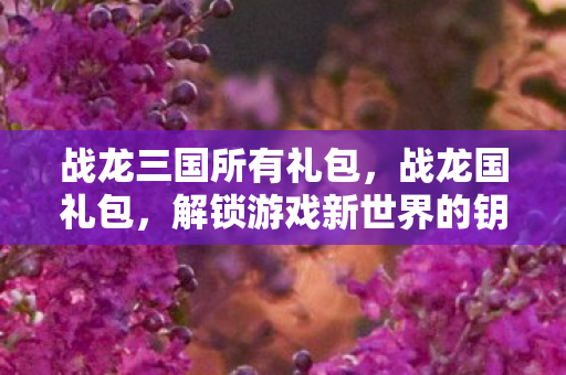 战龙三国所有礼包，战龙国礼包，解锁游戏新世界的钥匙