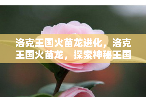 洛克王国火苗龙进化，洛克王国火苗龙，探索神秘王国的奇幻之旅