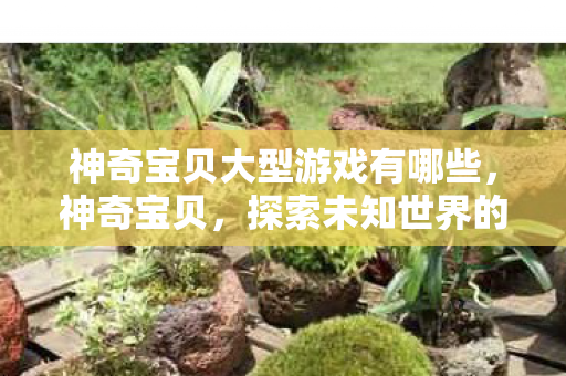 神奇宝贝大型游戏有哪些，神奇宝贝，探索未知世界的奇幻之旅