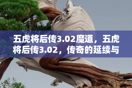 五虎将后传3.02魔道，五虎将后传3.02，传奇的延续与创新的探索