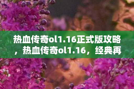 热血传奇ol1.16正式版攻略，热血传奇ol1.16，经典再现，情怀不灭