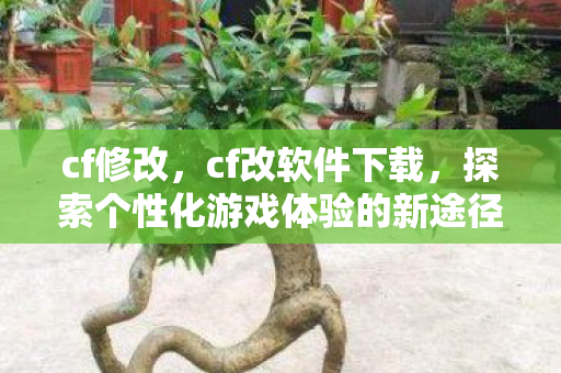 cf修改，cf改软件下载，探索个性化游戏体验的新途径