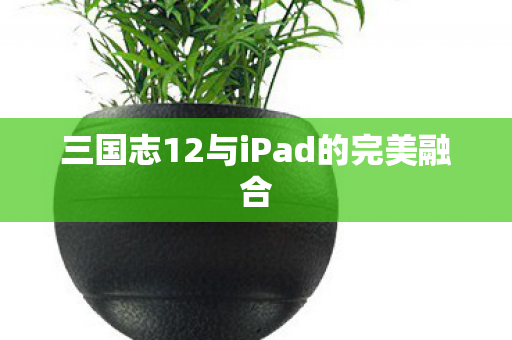 三国志12与iPad的完美融合 三国志12与iPad的完美融合