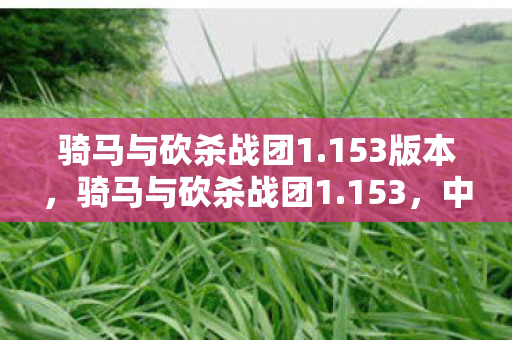 骑马与砍杀战团1.153版本，骑马与砍杀战团1.153，中世纪战场的真实再现