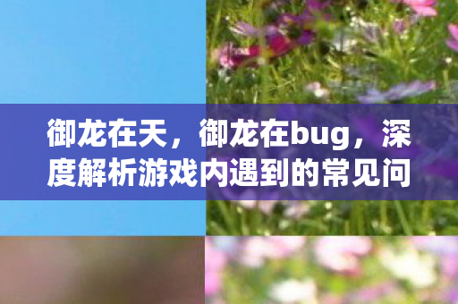 御龙在天，御龙在bug，深度解析游戏内遇到的常见问题及解决方案