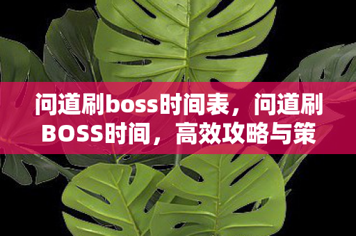 问道刷boss时间表，问道刷BOSS时间，高效攻略与策略分享