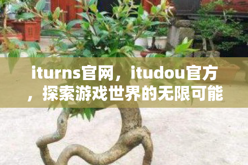 iturns官网，itudou官方，探索游戏世界的无限可能
