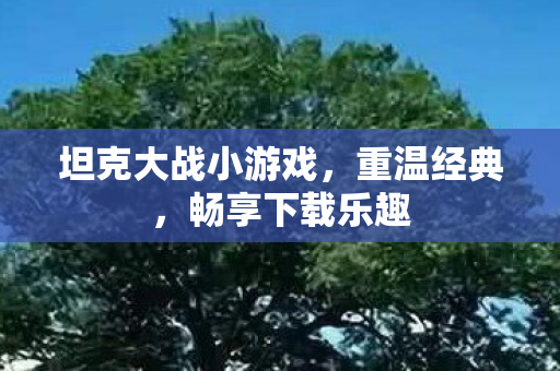 坦克大战小游戏，重温经典，畅享下载乐趣