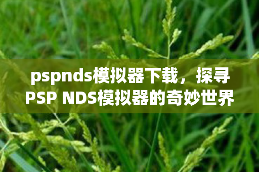 pspnds模拟器下载，探寻PSP NDS模拟器的奇妙世界