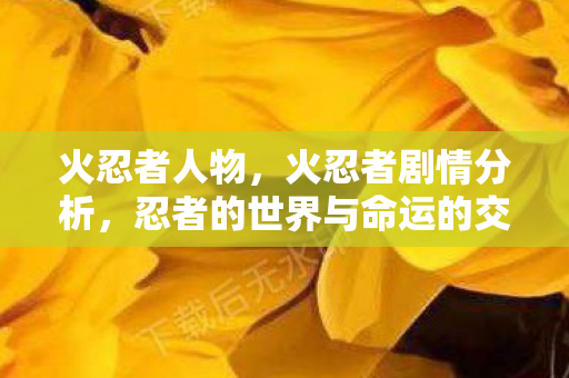 火忍者人物，火忍者剧情分析，忍者的世界与命运的交织