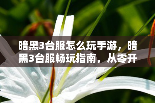 暗黑3台服怎么玩手游，暗黑3台服畅玩指南，从零开始的冒险之旅